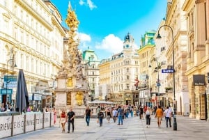 Vienna Private Full Day Tour – Tickets to Schönbrunn & Lunch