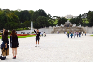 Wiedeń - prywatna całodniowa wycieczka - bilety do Schönbrunn i lunch
