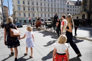 Wiedeń - prywatna całodniowa wycieczka - bilety do Schönbrunn i lunch