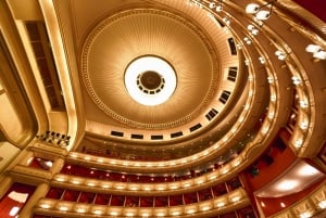 Vienna: Private Guided Beethoven Walking Tour