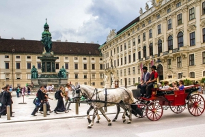 Vienna private guided city and old town tour