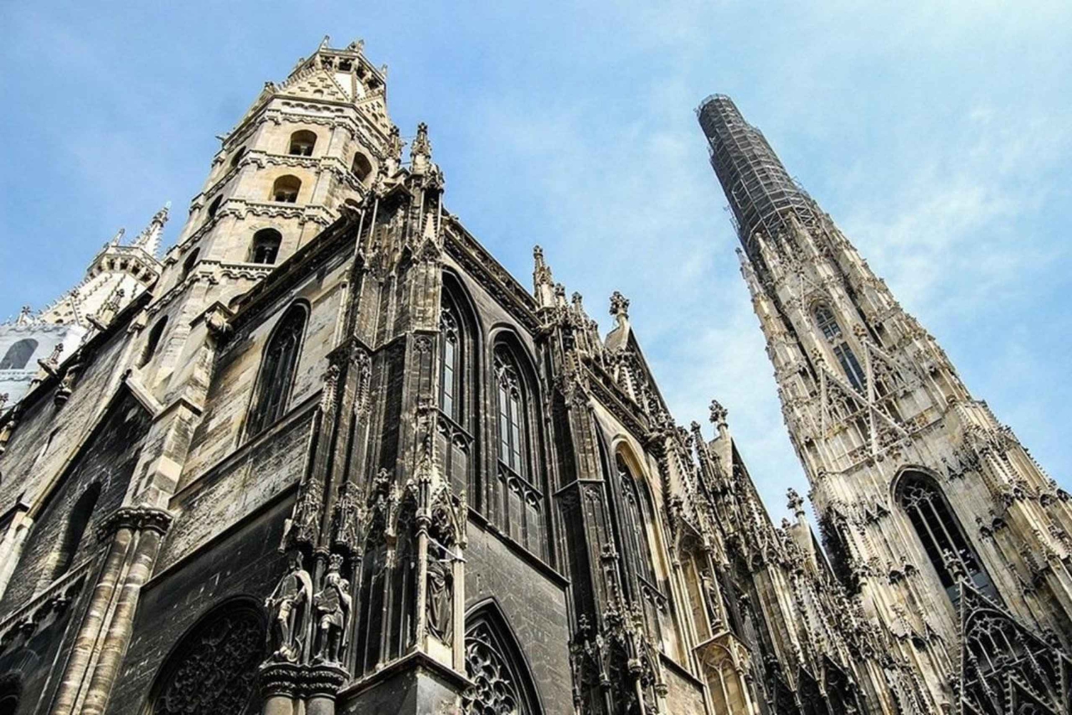 Vienna: Private Half-Day Sightseeing Tour with a Local