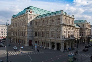 Vienna: Private Half-Day Sightseeing Tour with a Local