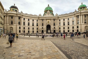 Vienna: Private Half-Day Sightseeing Tour with a Local