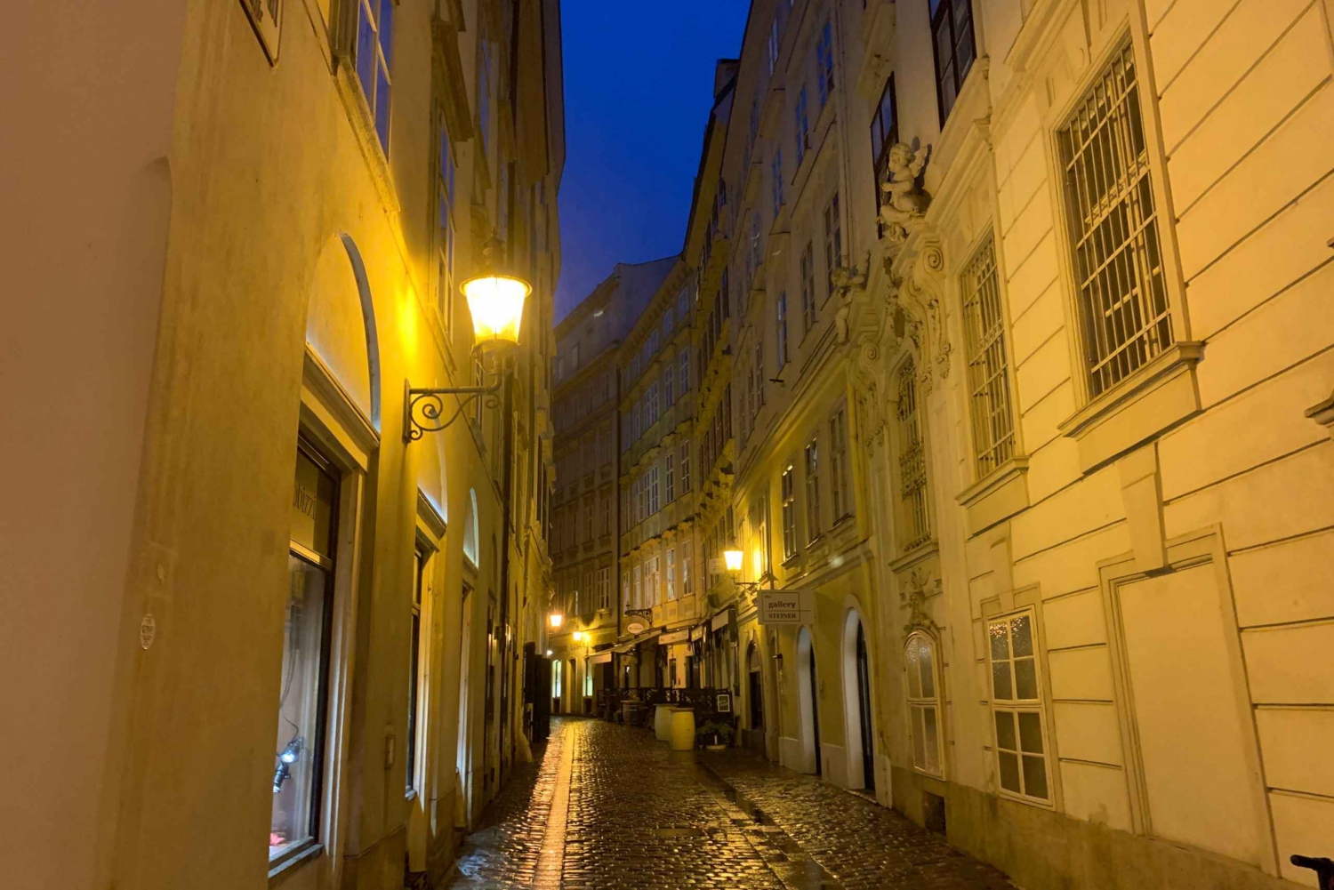 Vienna: Private Haunted Walking Tour
