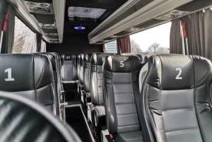 Wien: Privat minibussbillett til/fra Wien lufthavn (VIE)