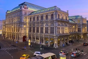 Vienna: Private Music Tour