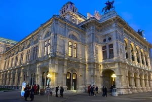Wien: Private Music Tour