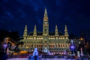 Vienna: Private Night Tour with Local