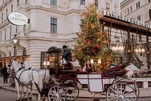 Вена: частная уличная фотосессия в центре города