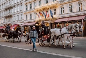 Вена: частная уличная фотосессия в центре города