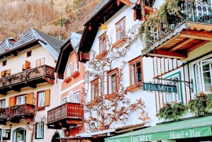 Vienna: tour privato da Vienna a Hallstatt e Salisburgo