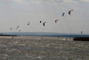 Vienna: Private tour Lake Neusiedl, Rust, Purbach