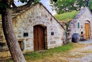 Vienna: Private tour Lake Neusiedl, Rust, Purbach