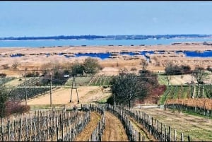 Vienna: Private tour Lake Neusiedl, Rust, Purbach