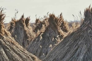 Vienna: Private tour Lake Neusiedl, Rust, Purbach