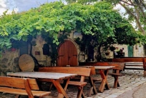 Wenen: privérondleiding meer Neusiedl, Rust (wijnproeverij) Purbach