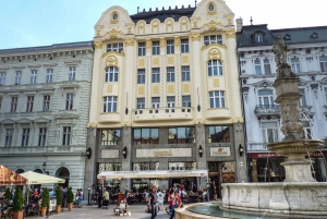 Vienna: Bratislava Day Trip with Private Guide and Transport