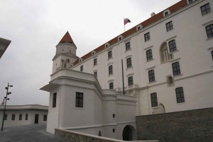 Vienna: Private tour to Bratislava