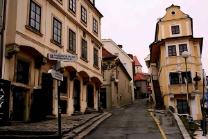 Vienna: Private tour to Bratislava