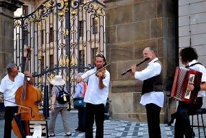 Vienna: Private tour to Prague