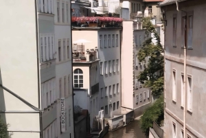 Vienna: Private tour to Prague