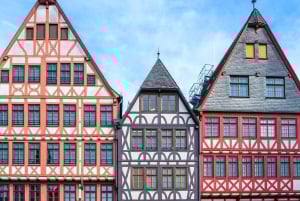 Viena: Transfer privado de Frankfurt para Viena