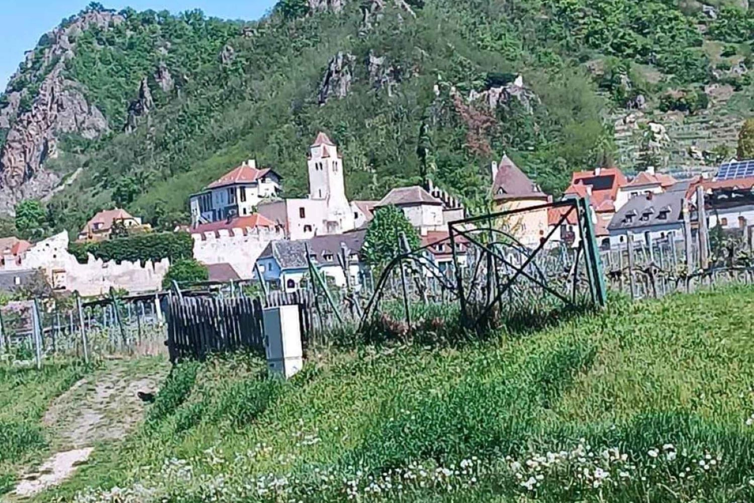 Вена: частный тур в Вахау в Дюрнштайн и Мельк