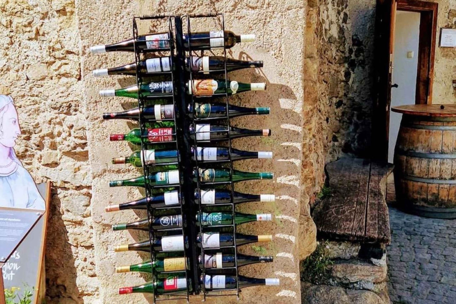 Вена: частный тур в Вахау в Дюрнштайн и Мельк