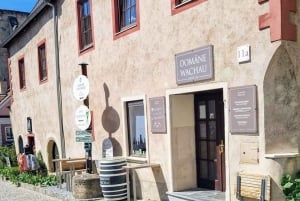 Вена: частный тур в Вахау в Дюрнштайн и Мельк