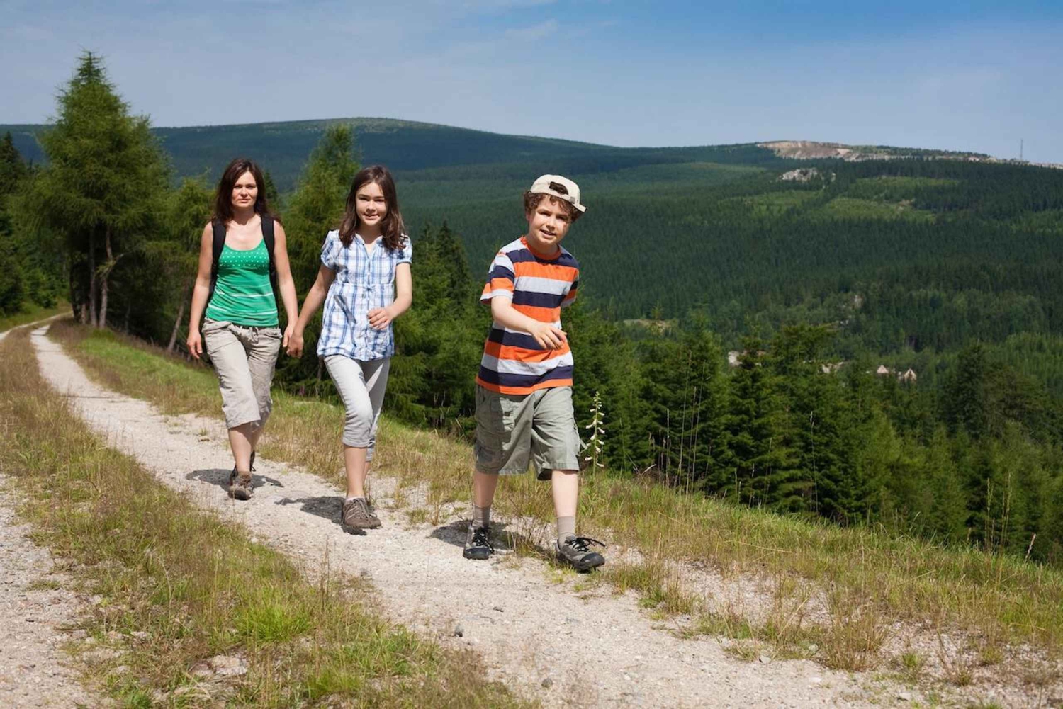 Viena: Excursão a pé particular pela zona rural montanhosa