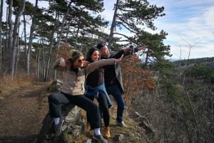 Viena: Excursão a pé particular pela zona rural montanhosa