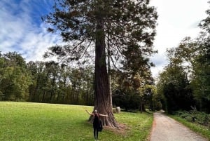 Viena: Excursão a pé particular pela zona rural montanhosa