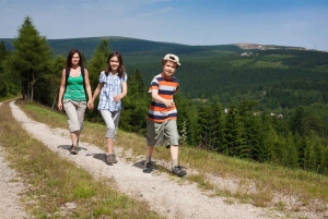 Viena: Excursão a pé particular pela zona rural montanhosa