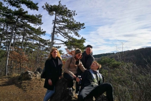 Viena: Excursão a pé particular pela zona rural montanhosa