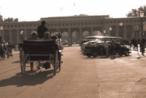 Vienna: Private Walking Tour to The Hofburg & Graben Street