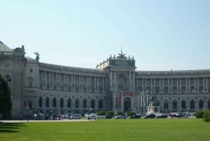 Vienne : Visite guidée privée