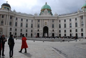 Vienne : Visite à pied privée