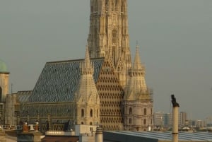 Wien: Privat tur til fods