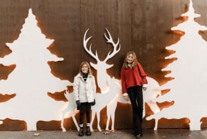 فيينا: التصوير الفوتوغرافي الاحترافي