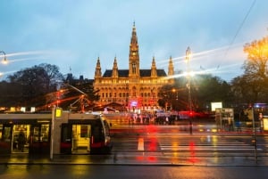 Wien: Joukkoliikenteen kaupunkikortti ja nähtävyysalennukset.