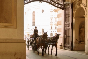 Vienna: Public Transport City Card and Attraction Discounts