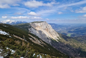 Vienna: Relaxed Alpine Experience with Guide and Transfer