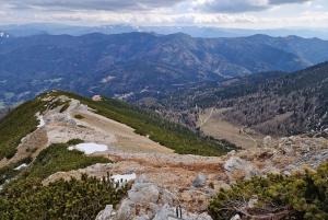 Vienna: Relaxed Alpine Experience with Guide and Transfer