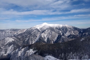 Wien: Avslappnad alpin snöskoupplevelse med guide och transfer