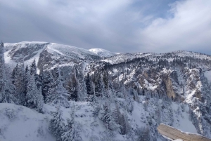 Wien: Avslappnad alpin snöskoupplevelse med guide och transfer