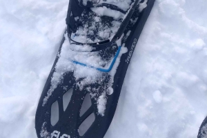 Wien: Avslappnad alpin snöskoupplevelse med guide och transfer