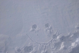 Wien: Avslappnad alpin snöskoupplevelse med guide och transfer