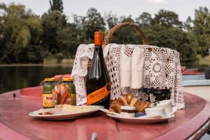 Wien: Retro-Bootstour auf der Donau mit Picknick