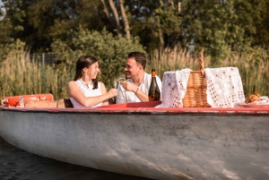Wien: Retro-Bootstour auf der Donau mit Picknick